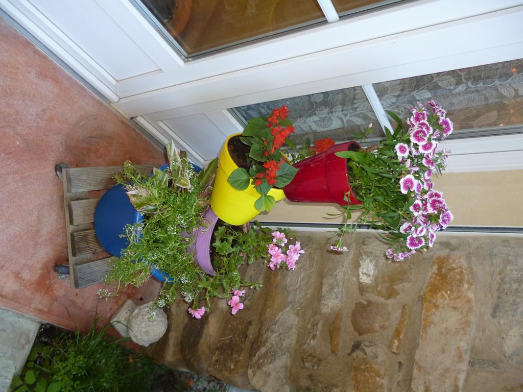 Chambres D'Hotes La Rose Des Vents Ginestas Exterior photo