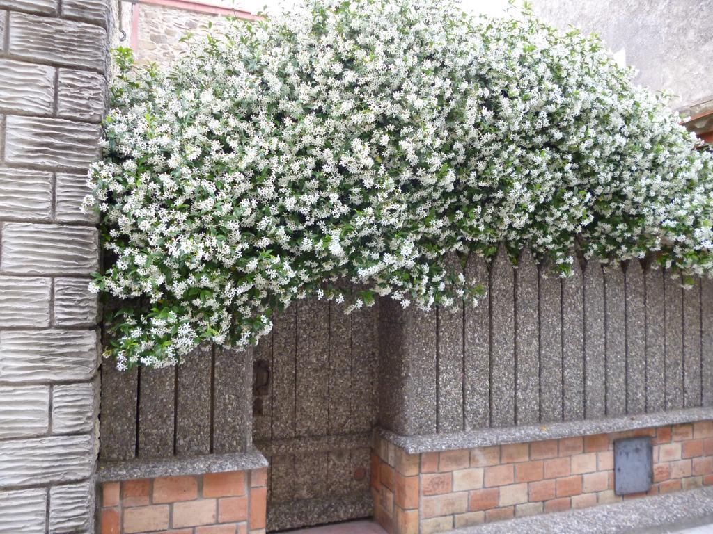 Chambres D'Hotes La Rose Des Vents Ginestas Exterior photo